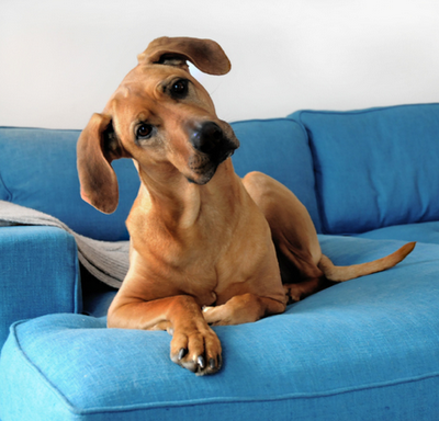 An application scenario or product detail of microfiber microsuede couches - Image 10