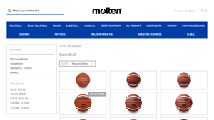 Molten - FX Basketball (NFHS Approved)