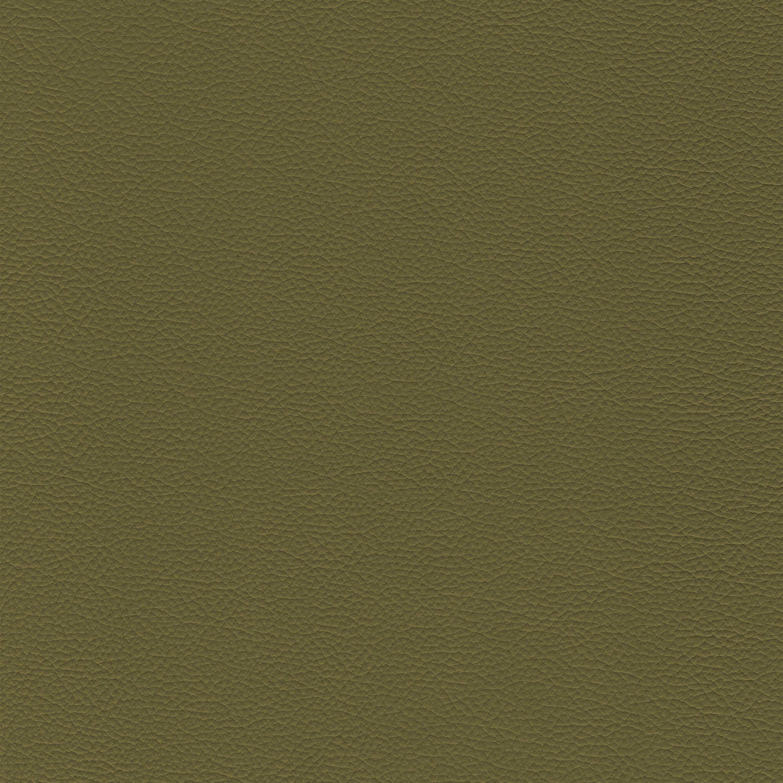 An application scenario or product detail of olive green leather fabric - Image 14
