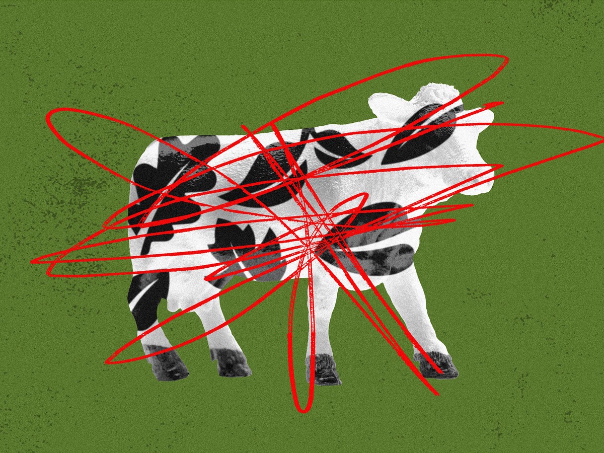 An application scenario or product detail of pleather plants - Image 22