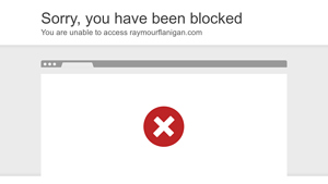 Raymour & Flanigan - Microfiber Sofas
