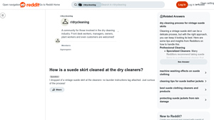 Reddit - Suede Skirt Cleaning