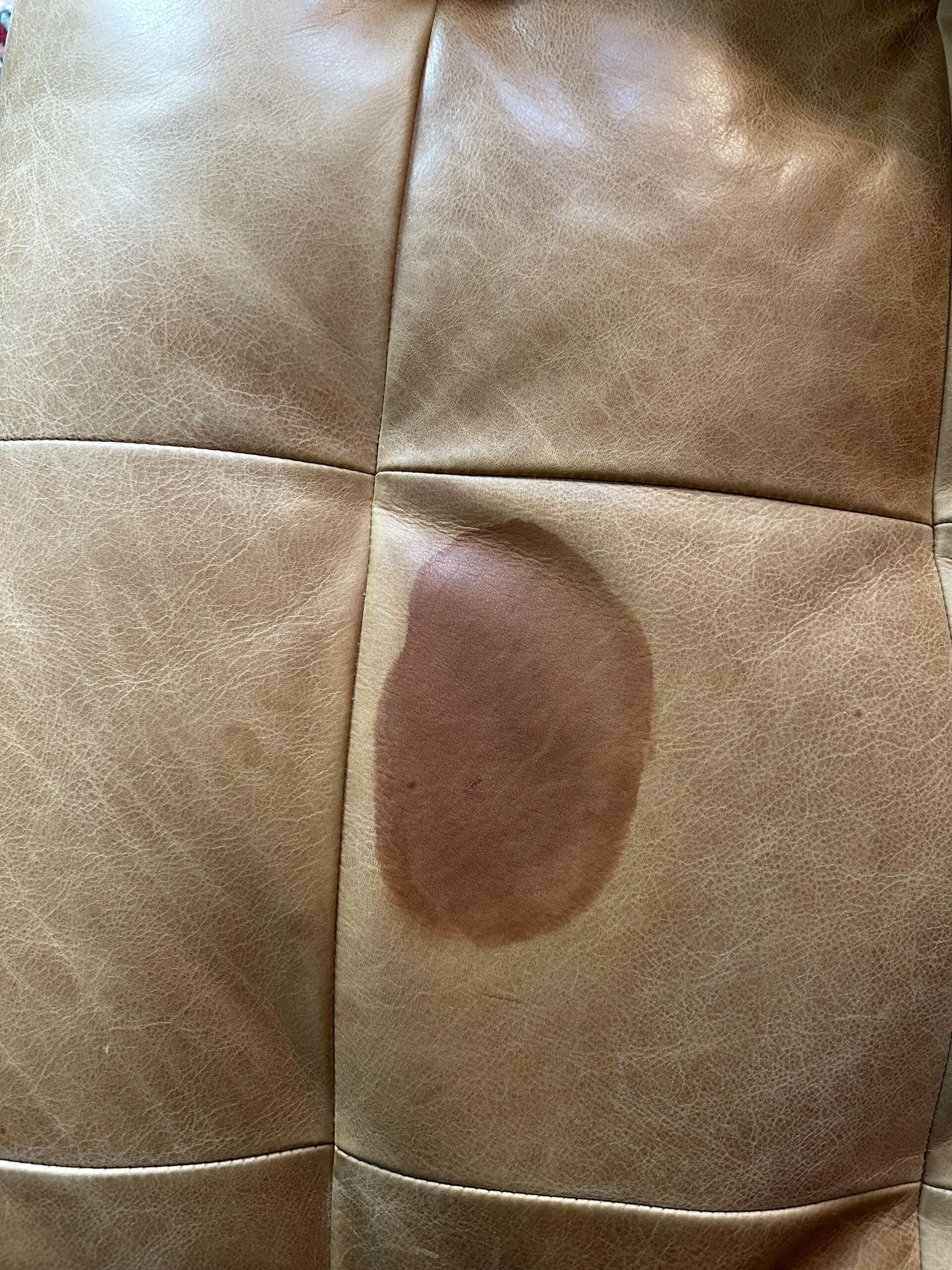 An application scenario or product detail of removing oil stains from leather - Image 19