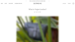 SENREVE - Vegan Maestra Bags