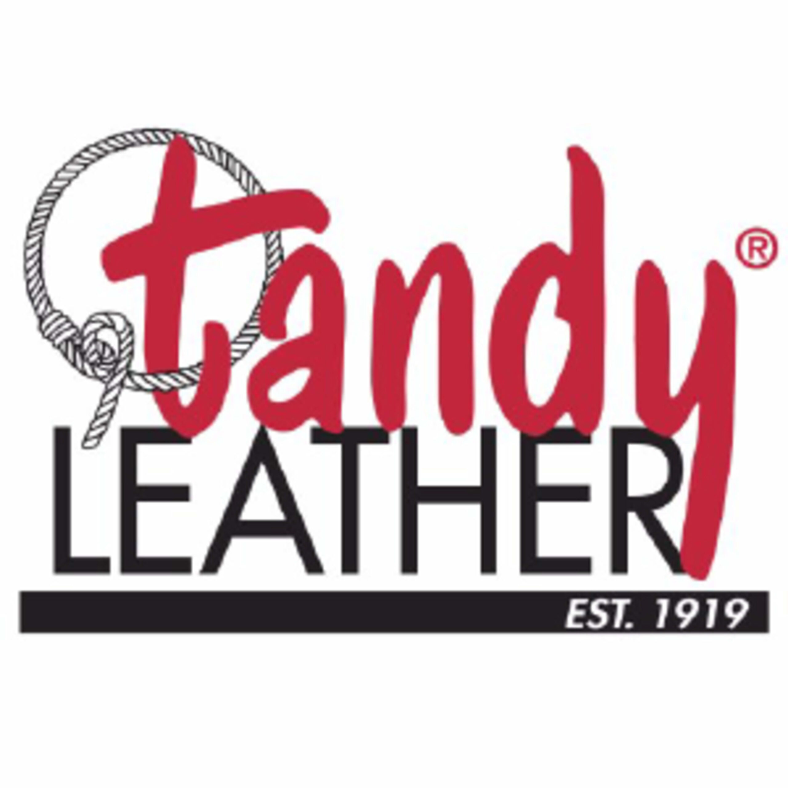 Featured image for the tandy leather factory promo code guide