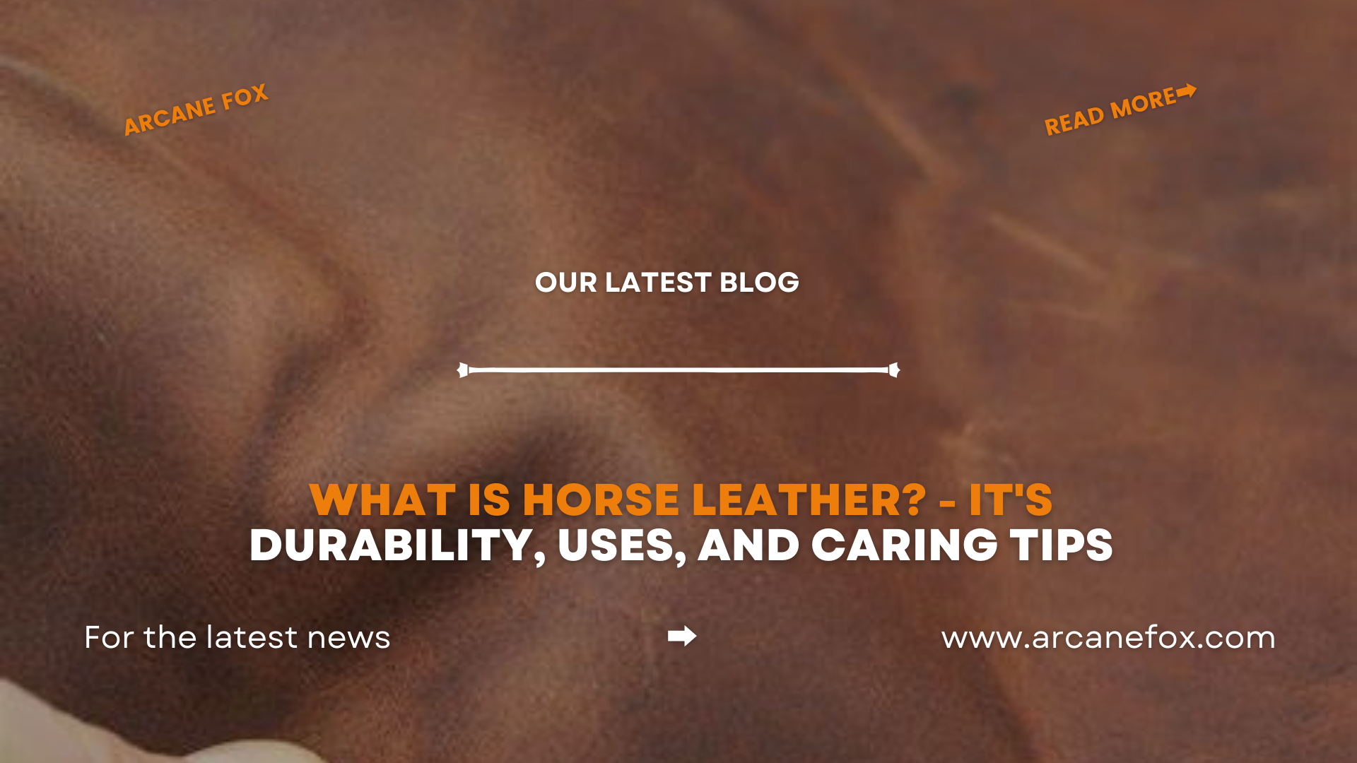 An application scenario or product detail of what is fox leather - Image 23