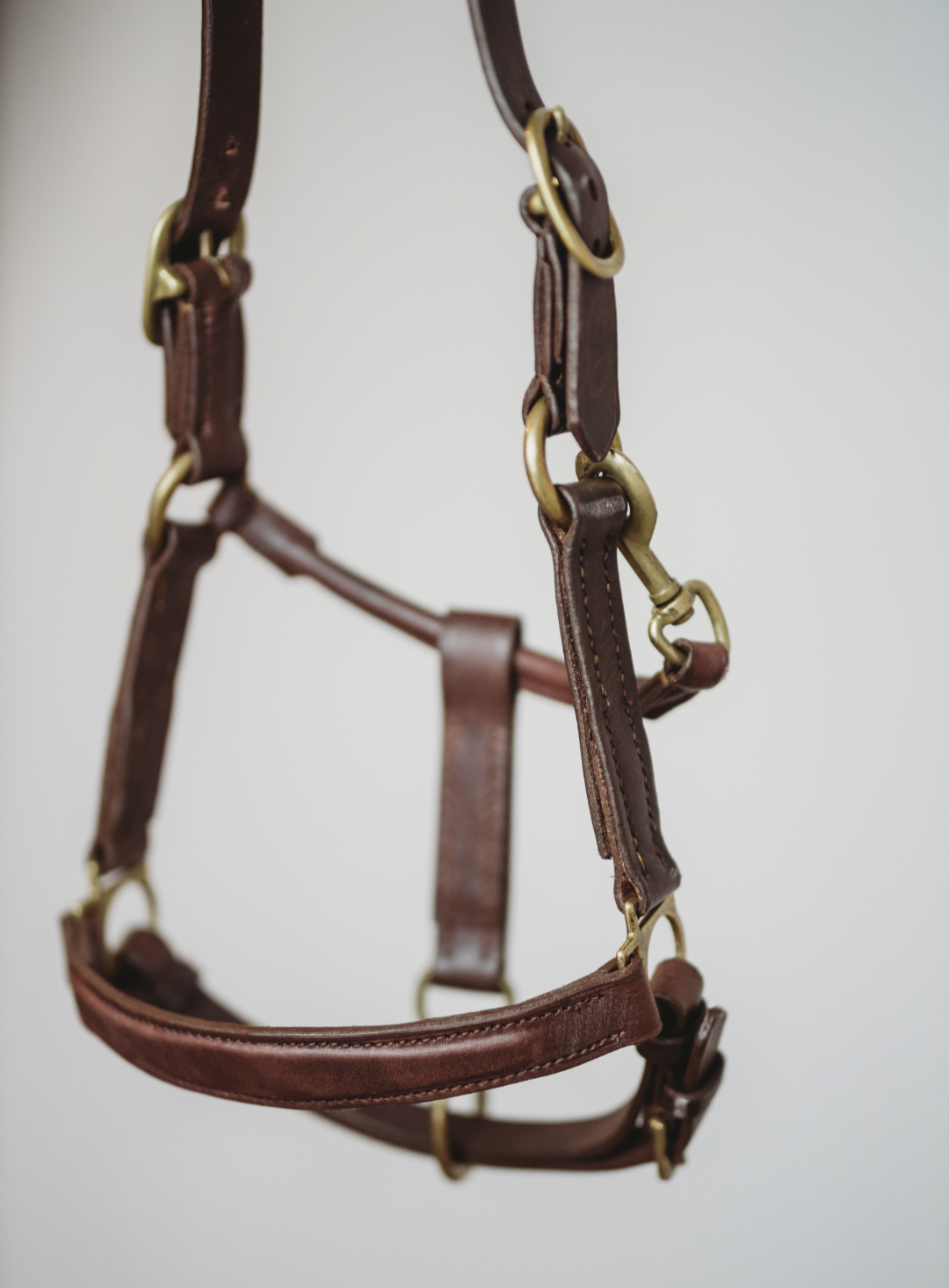 custom leather halters