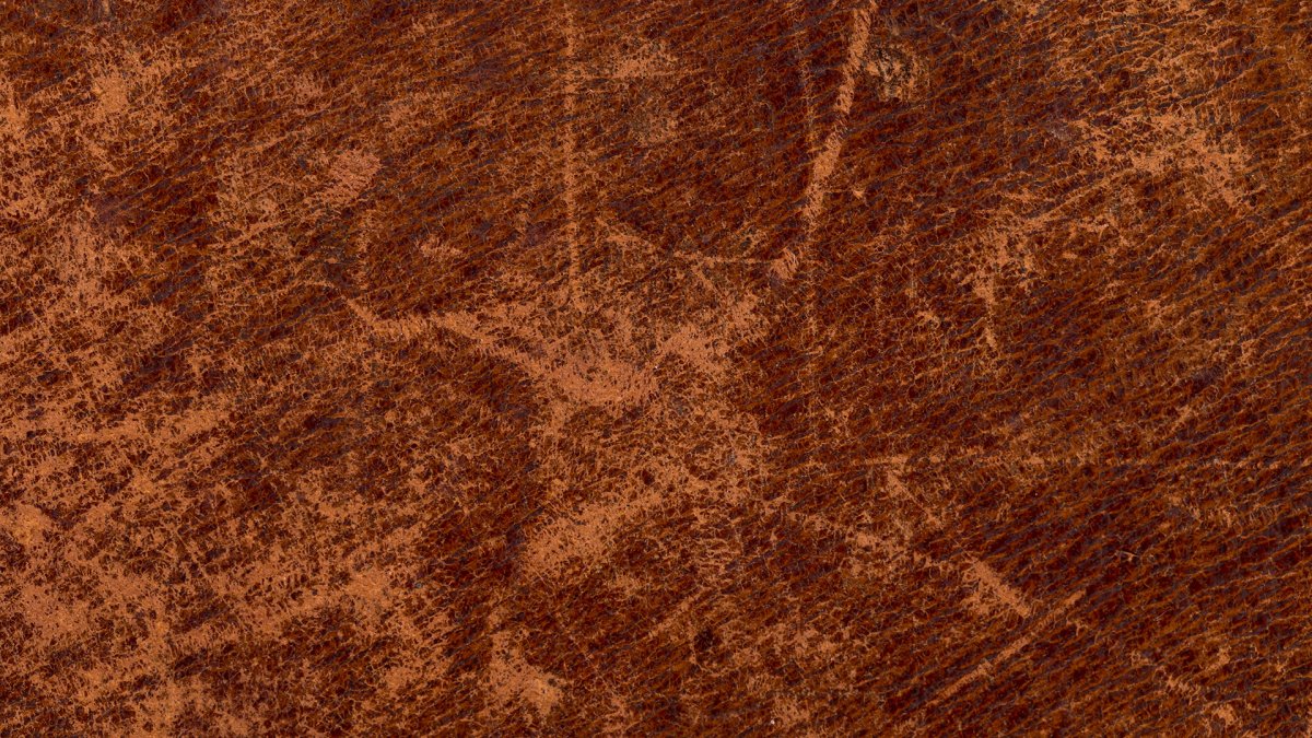 tandy leather factory fort worth texas