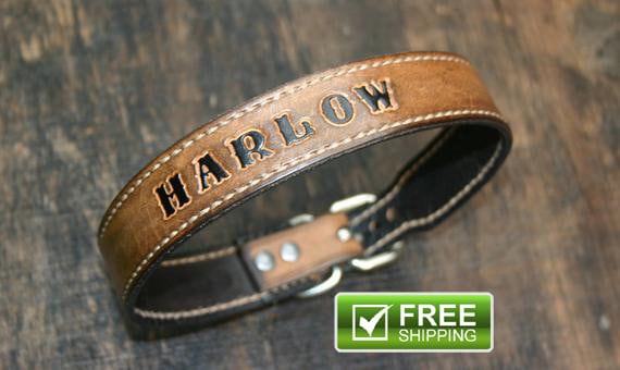 custom leather dog collars with name