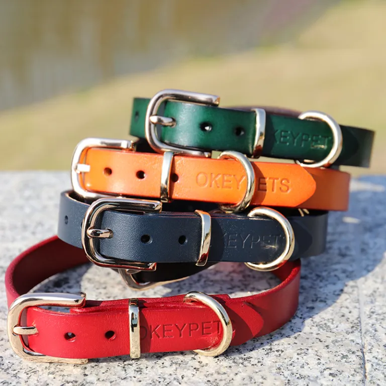 custom leather dog collars