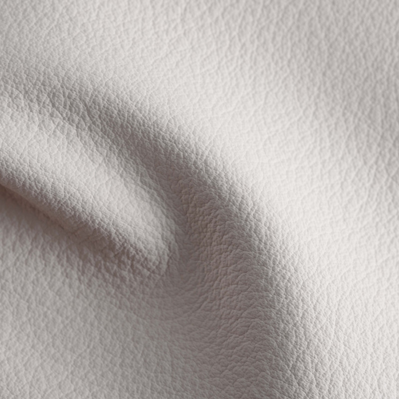 orion leather company