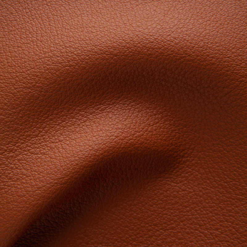 orion leather company